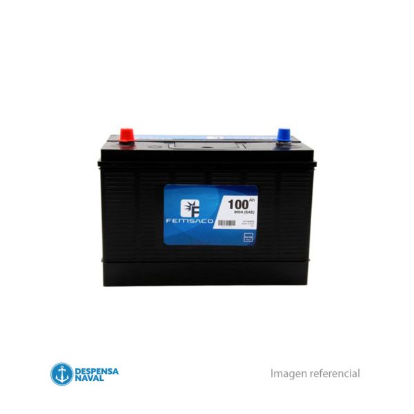 Bateria 31T-700 100AH